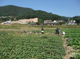 크기변환_DSCF3642.JPG