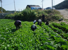 크기변환_DSCF3618.JPG